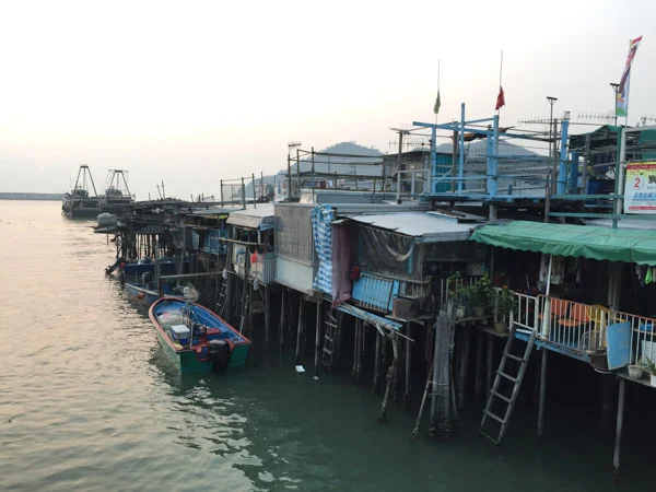 sumi bear playing hong kong tourist-29