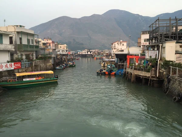 sumi bear playing hong kong tourist-30