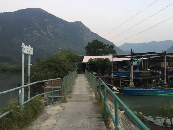 sumi bear playing hong kong tourist-36