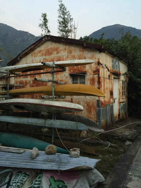 sumi bear playing hong kong tourist-37