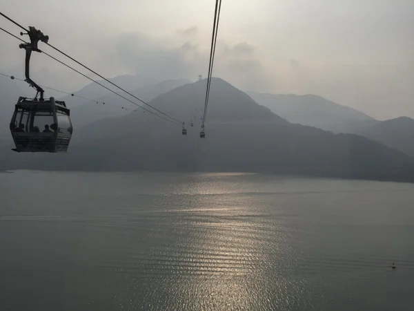 sumi bear playing hong kong tourist-8