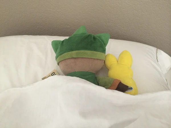 peep sidekick with sumi bear-4