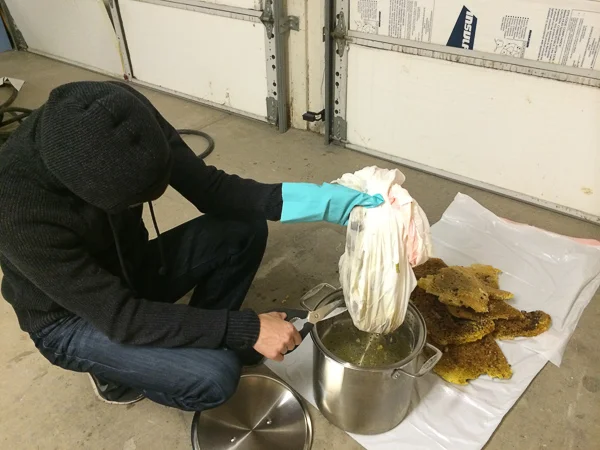 sumi bear thinks bees are gross-1