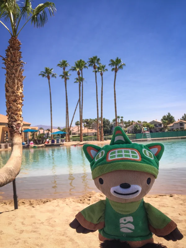 sumi bear at the lagoon-5