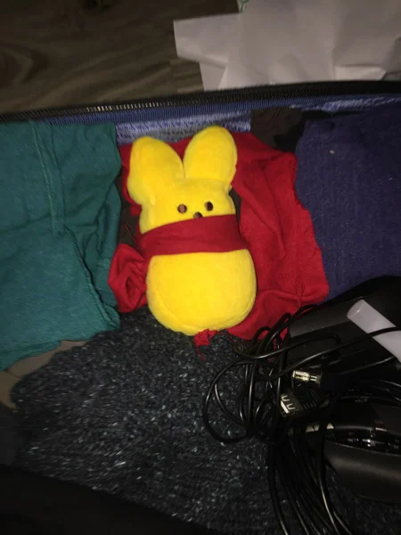 Sumi finds Peep in HK-1