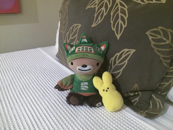 peep stowaway with sumi bear-1