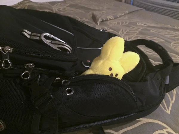 peep stowaway with sumi bear-2