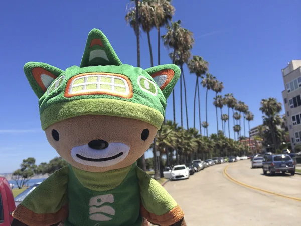 peep stowaway with sumi bear-3