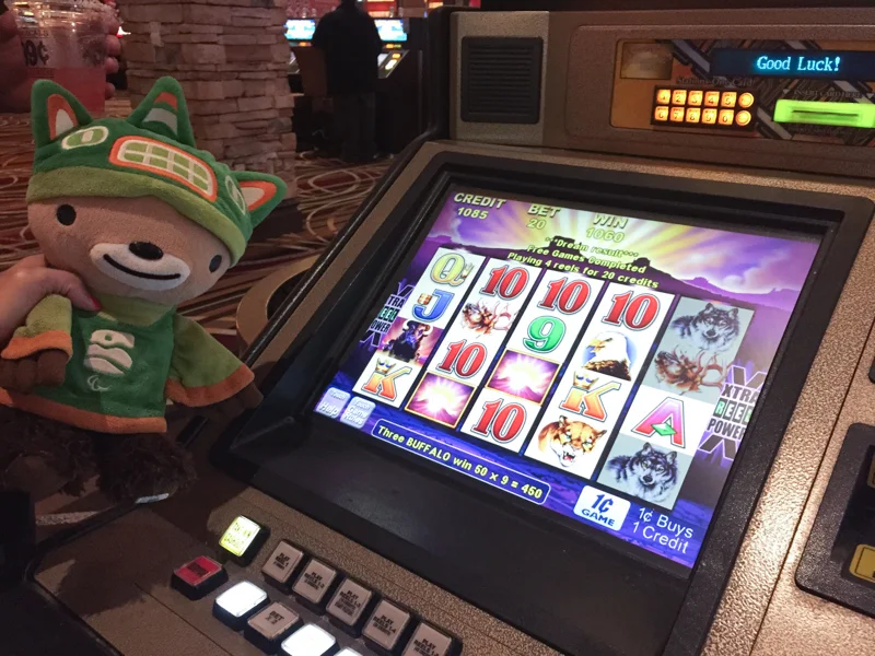 sumi bear at the station-8