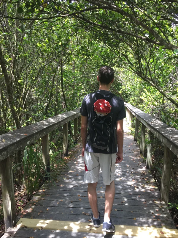 Sumi bear with florida gators-2