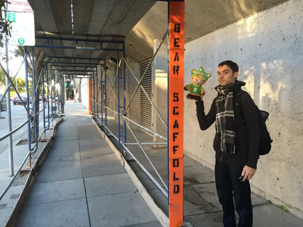 Sumi bear watching Pokemon Go addicts (1 of 2)