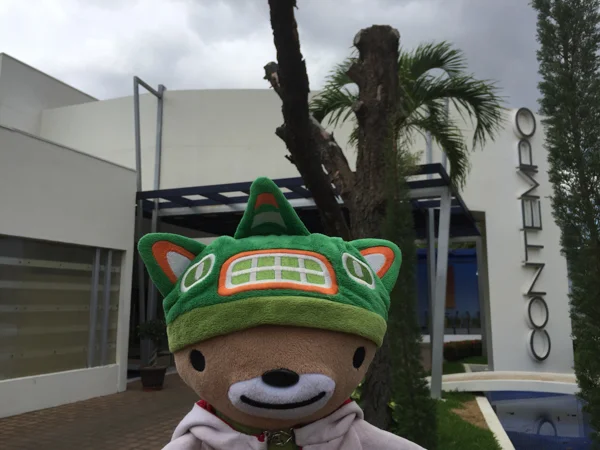 sumi bear granada ometepe managua-10