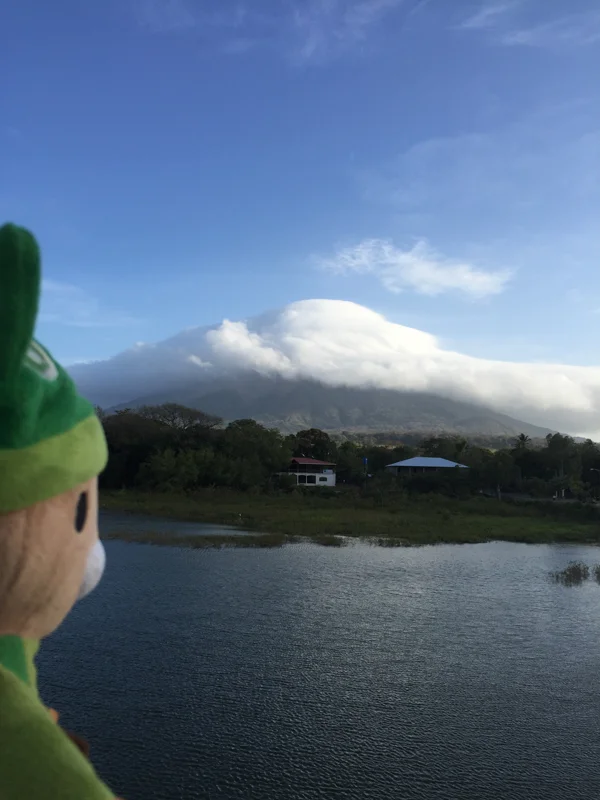 sumi bear granada ometepe managua-4