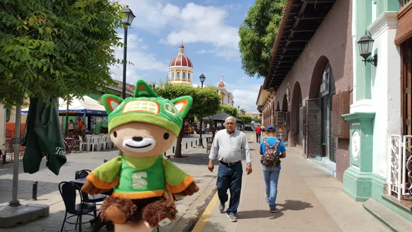 sumi bear granada ometepe managua-5