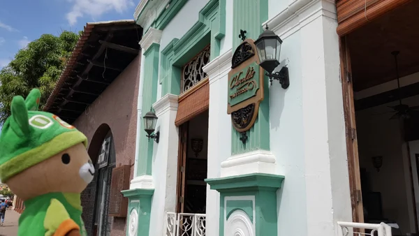 sumi bear granada ometepe managua-6