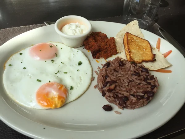 sumi bear granada ometepe managua-8