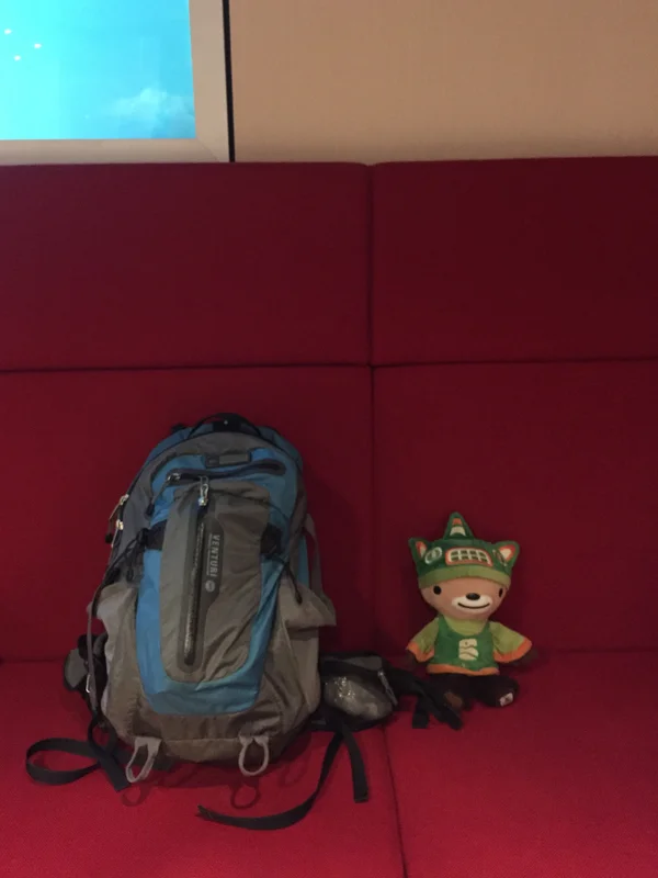 sumi bear homewards-1