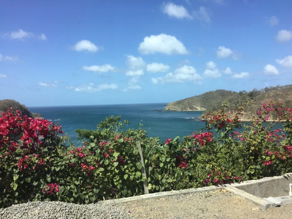 sumi bear in san juan del sur house hunting-5