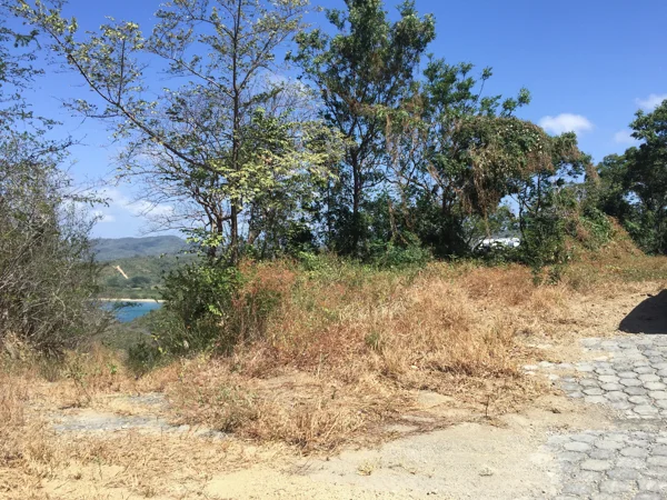 sumi bear in san juan del sur house hunting-6