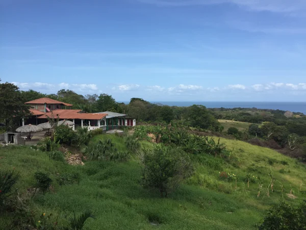 sumi bear on Ometepe-2