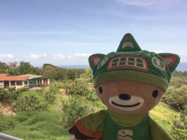 sumi bear on Ometepe-3