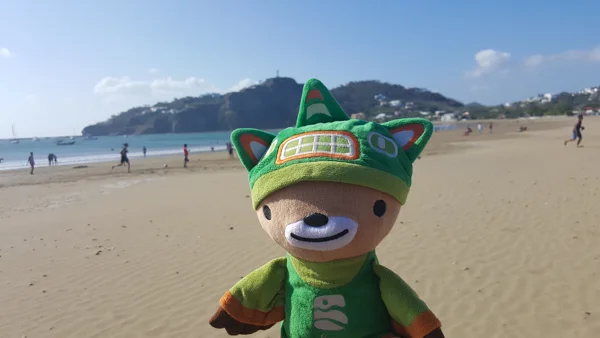 sumi bear in nicaragua-11