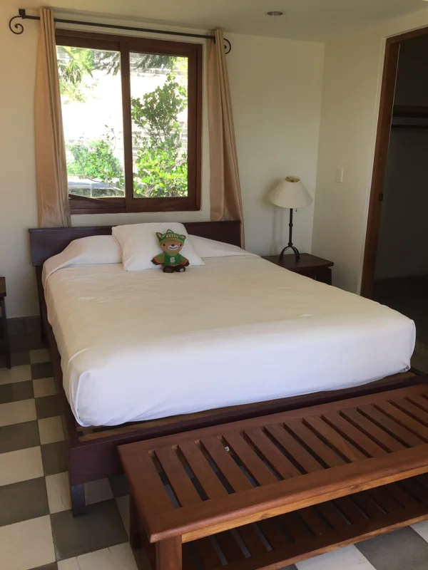 sumi bear in nicaragua-9