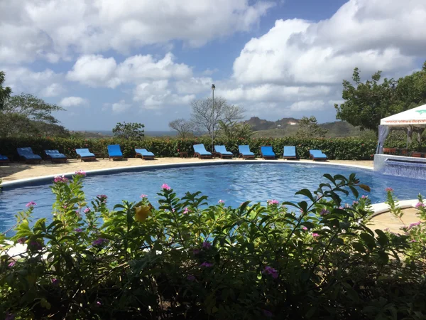 sumi bear in san juan del sur-1