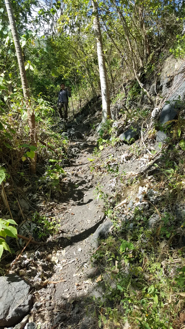 sumi bear hiking volcan concepcion-8