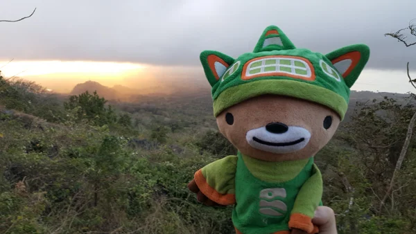 sumi bear in nicaragua-20
