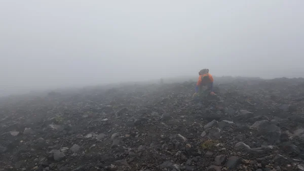 sumi bear in nicaragua-24