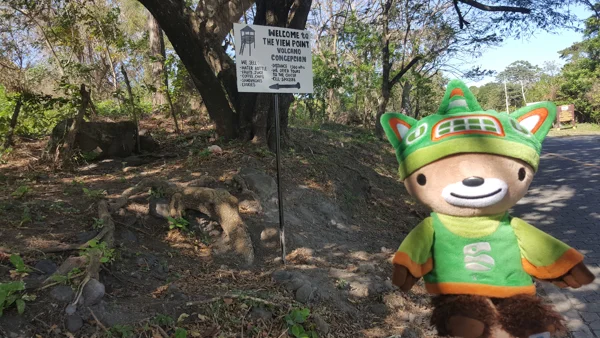 sumi bear in nicaragua-32