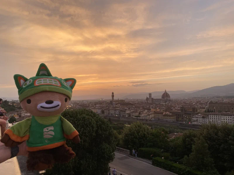 Sumi Bear with Florence sunset panorama