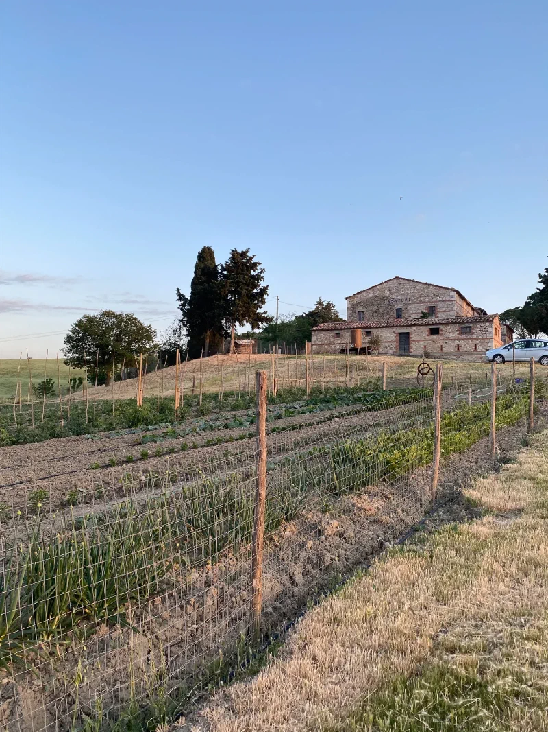 Tuscan stone farmhouse in golden evening light
