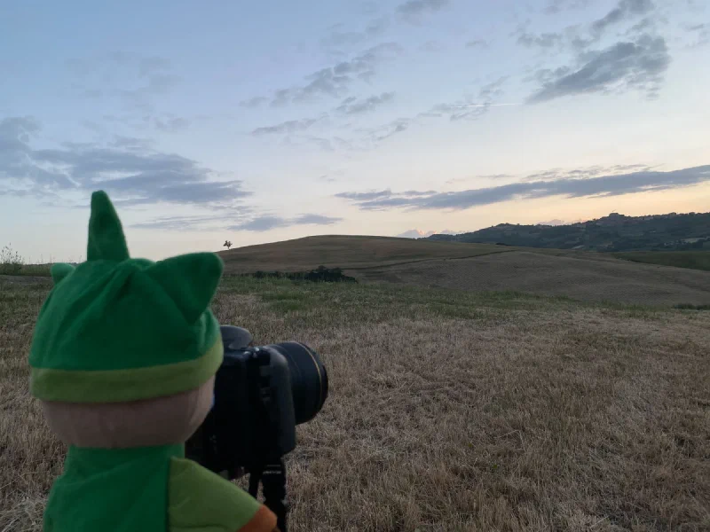 Sumi Bear behind a camera on a tripod at dusk