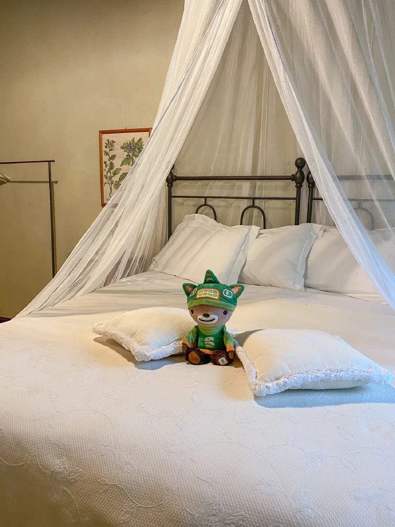 Sumi Bear on the villa bed with white canopy