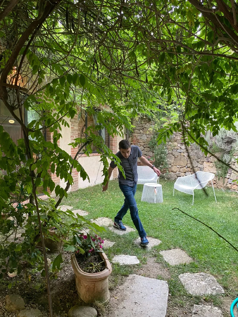 Shaded courtyard with vines and stepping stones