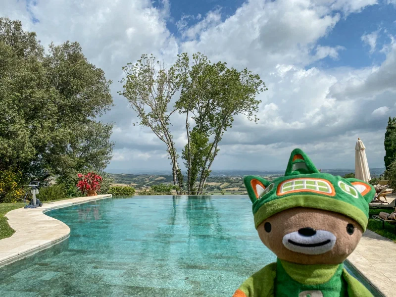 Sumi Bear at the infinity pool edge with Tuscan valley panorama