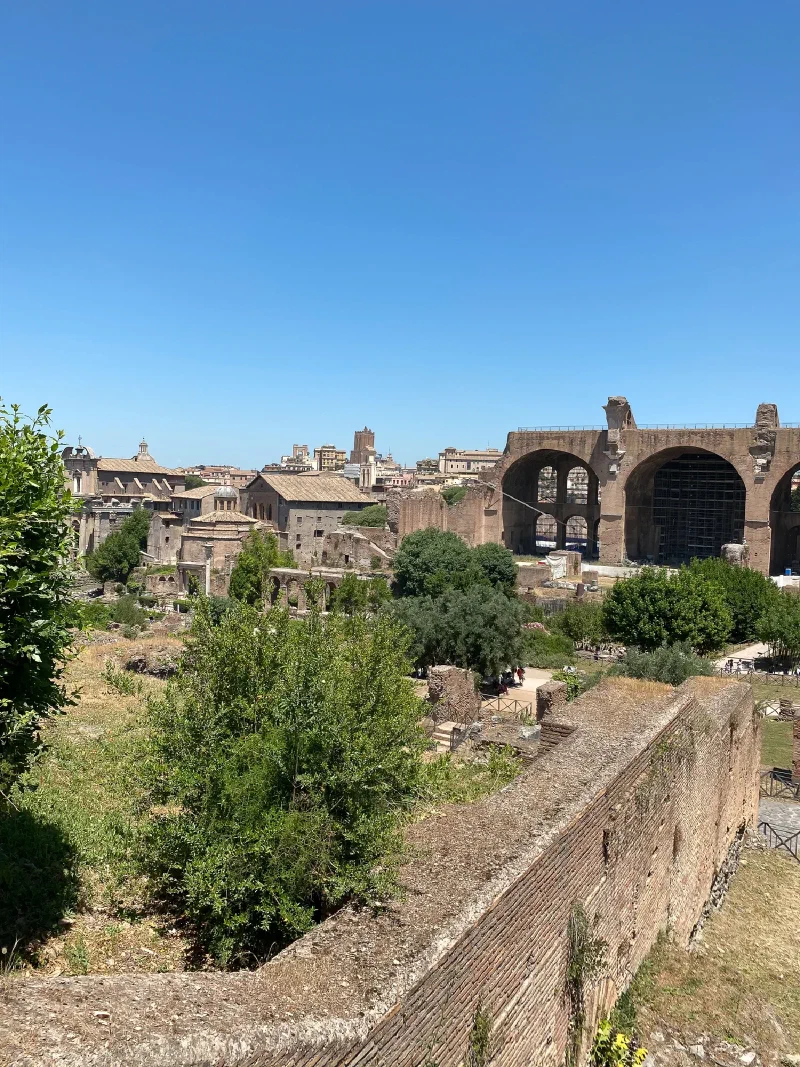 Panoramic view of the Roman Forum