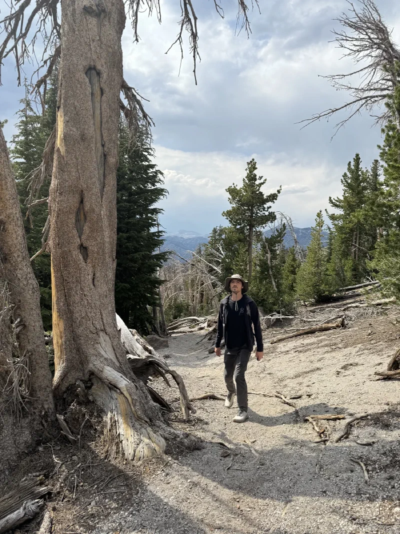 Nicholas hiking down a dusty trail through pine forest