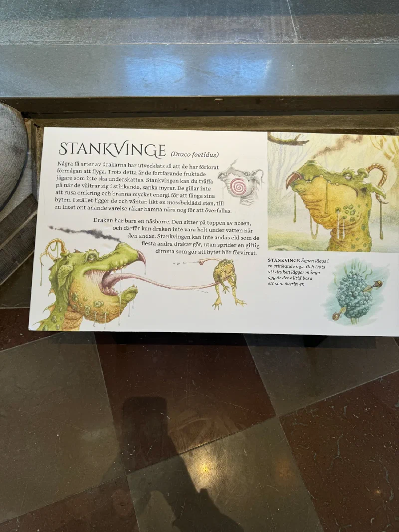 Dragon exhibit sign for Stankvinge (Draco foetidus)