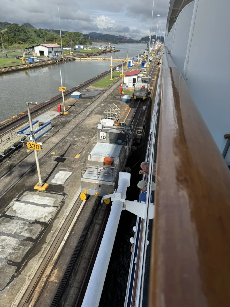 Mule locomotive on tracks