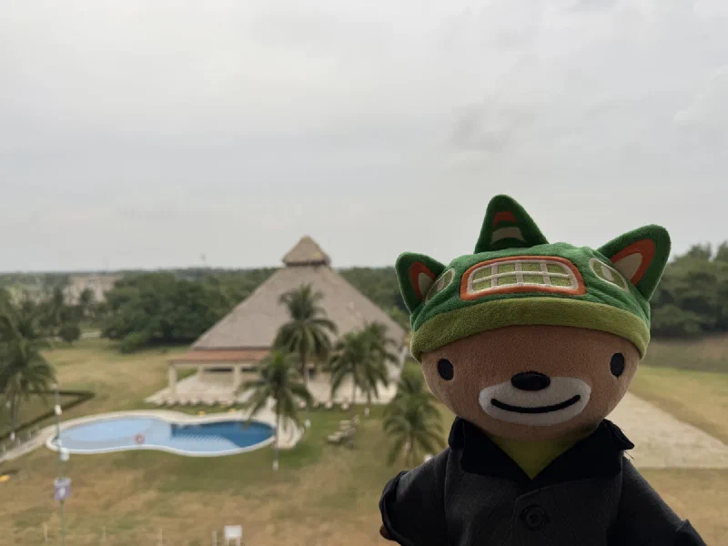 Me in my suit overlooking the pool from the balcony
