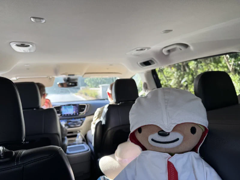 Me in the back seat watching Nicholas drive