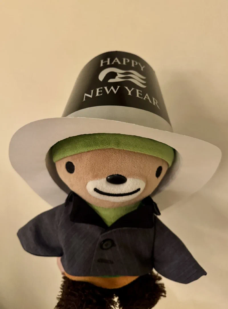 Me wearing a Happy New Year party hat