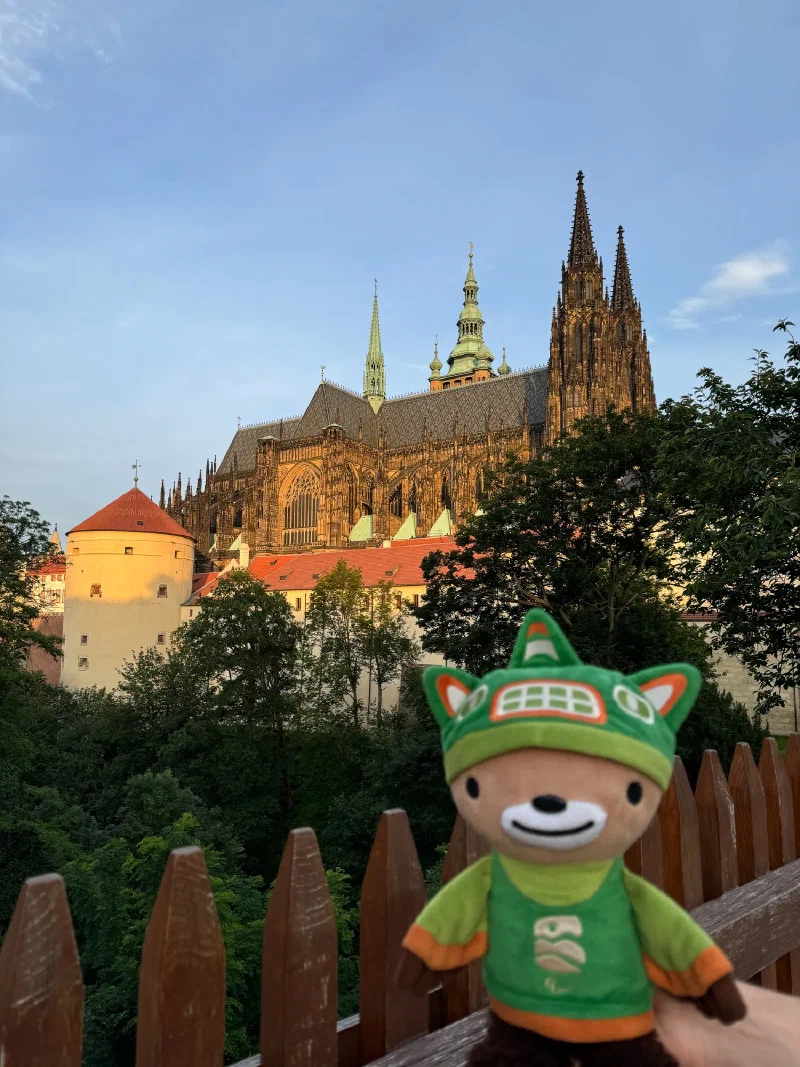 Sumi Bear with St. Vitus Cathedral spires behind
