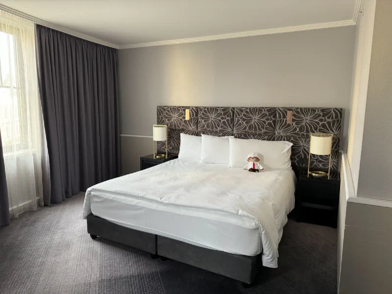 Sumi Bear on the hotel bed