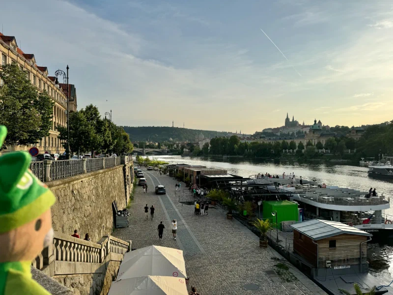 Sumi Bear overlooking the Vltava
