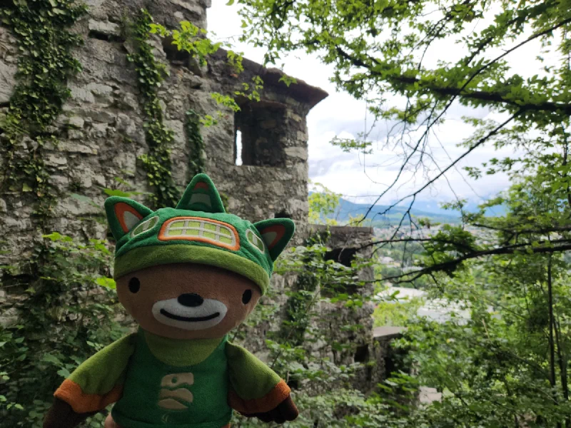 Sumi Bear at ruined tower with valley view
