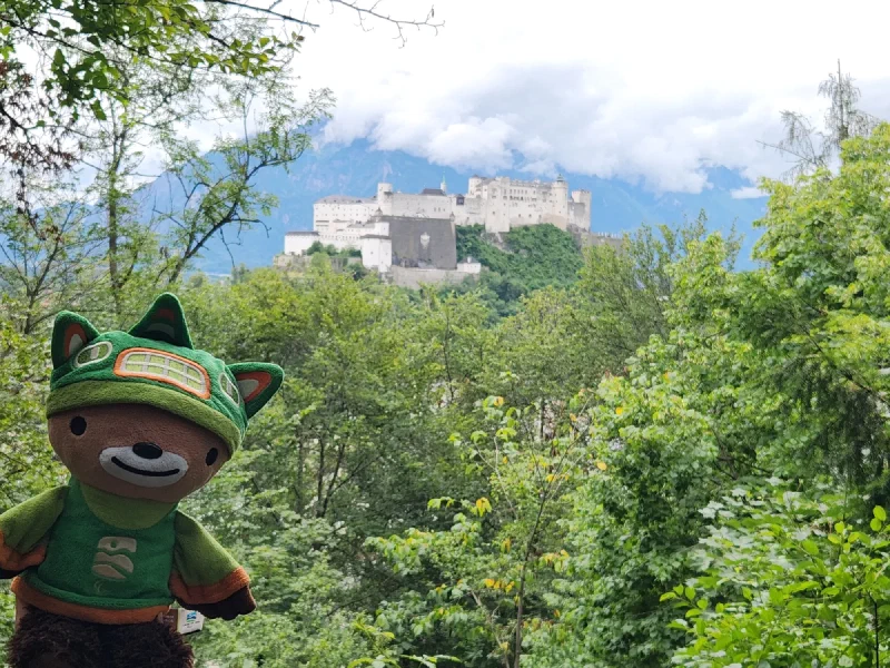 Sumi Bear at overlook with Hohensalzburg in background